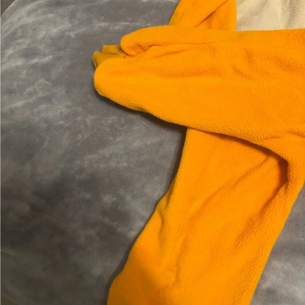 Charizard Costume